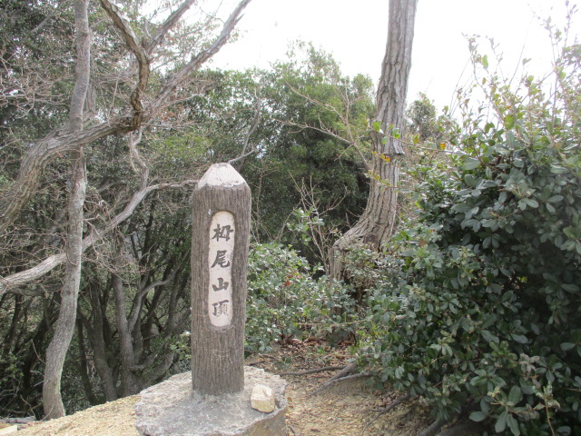 f:id:kiyatchi:20200322221140j:plain f:id:kiyatchi:20200322221140j:plain