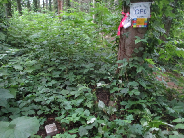 f:id:kiyatchi:20200705225311j:plain f:id:kiyatchi:20200705225311j:plain