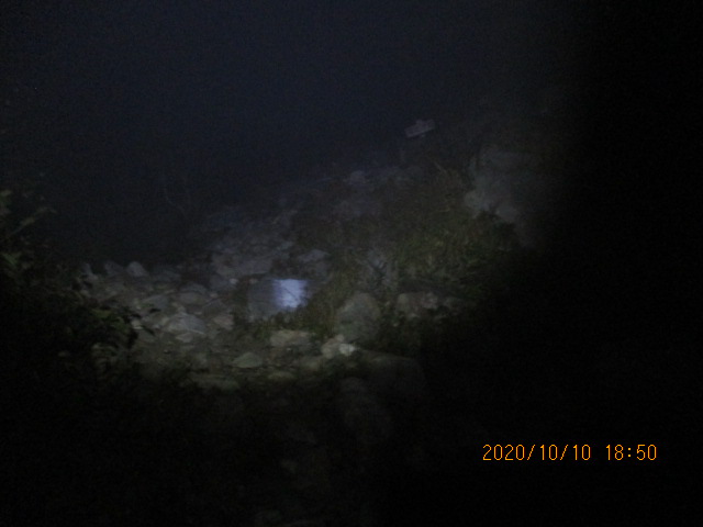 f:id:kiyatchi:20201011182920j:plain f:id:kiyatchi:20201011182920j:plain