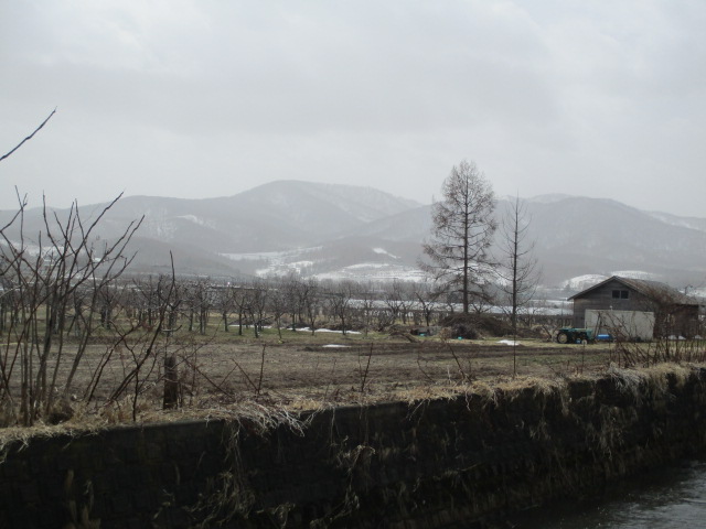 f:id:kiyatchi:20210330192505j:plain