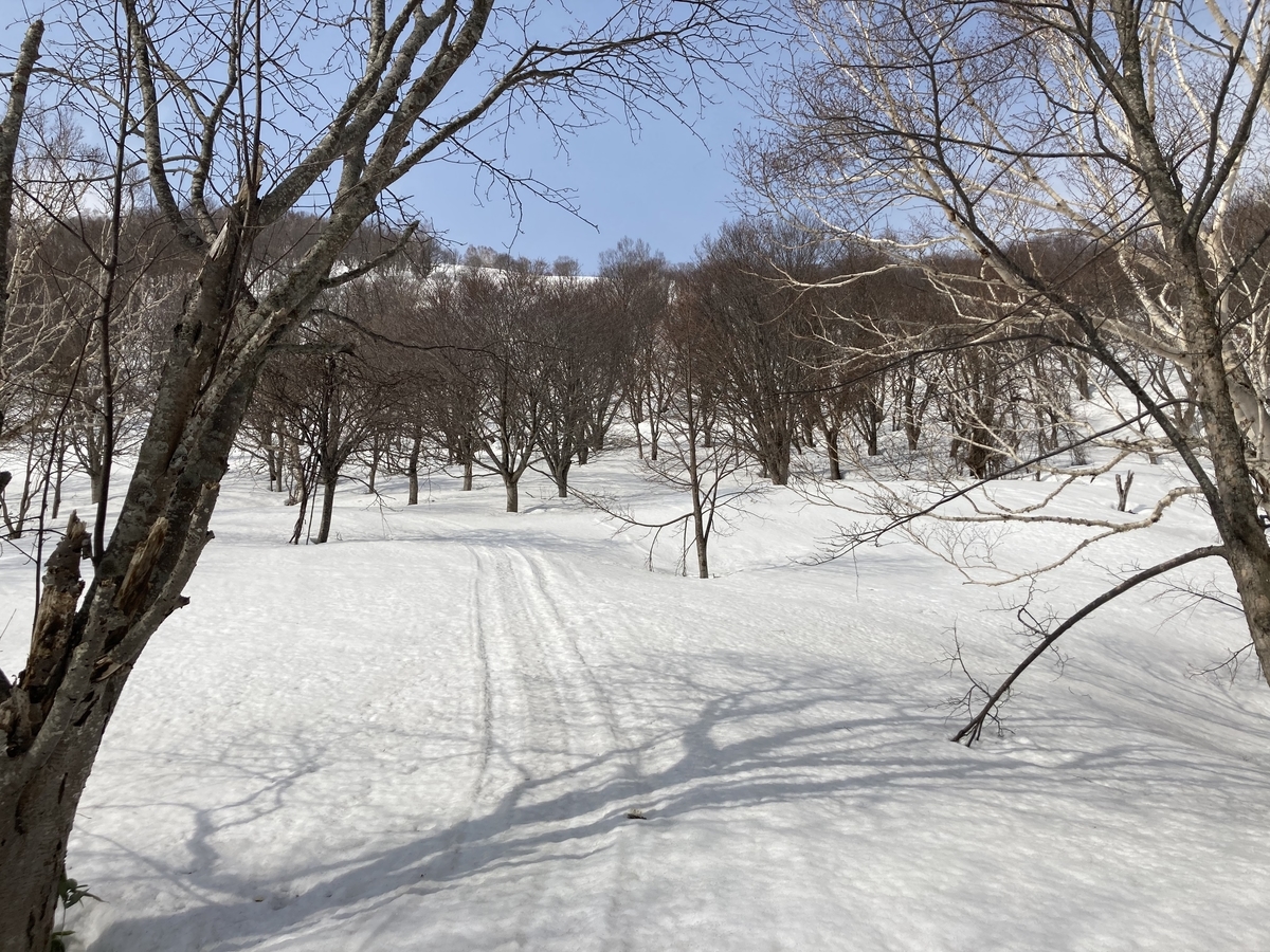 f:id:kiyatchi:20220409194251j:plain