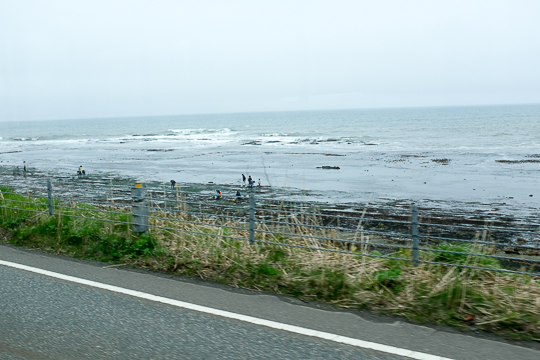 f:id:kiyo-maro:20180504105042j:plain f:id:kiyo-maro:20180504105042j:plain