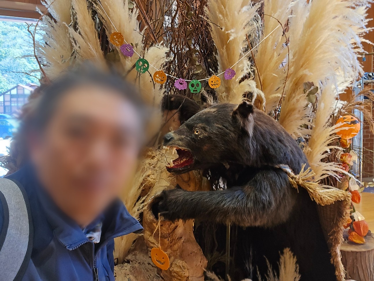 f:id:kiyo-sinobi:20251130182917j:image f:id:kiyo-sinobi:20251130182917j:image