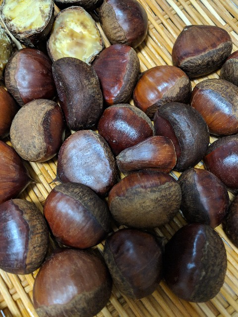 f:id:kiyo2017:20181006213601j:image