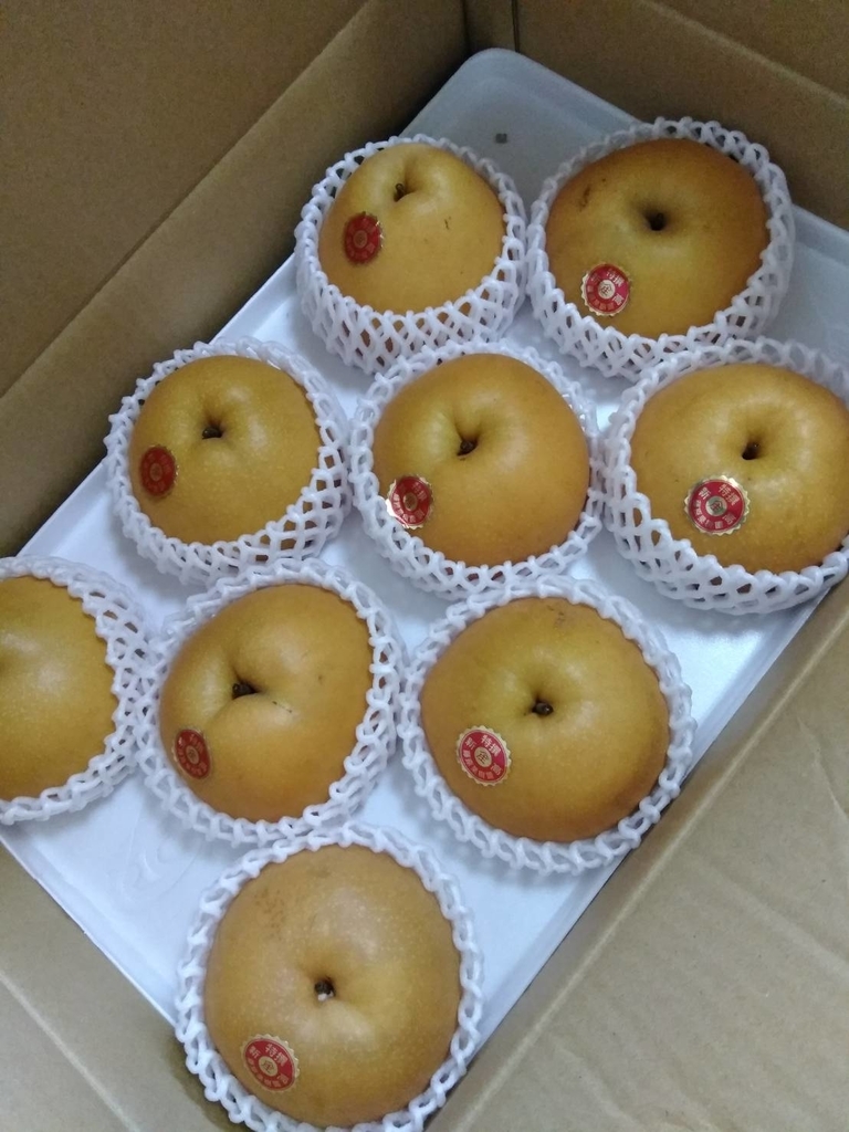 f:id:kiyo2017:20181011153742j:plain