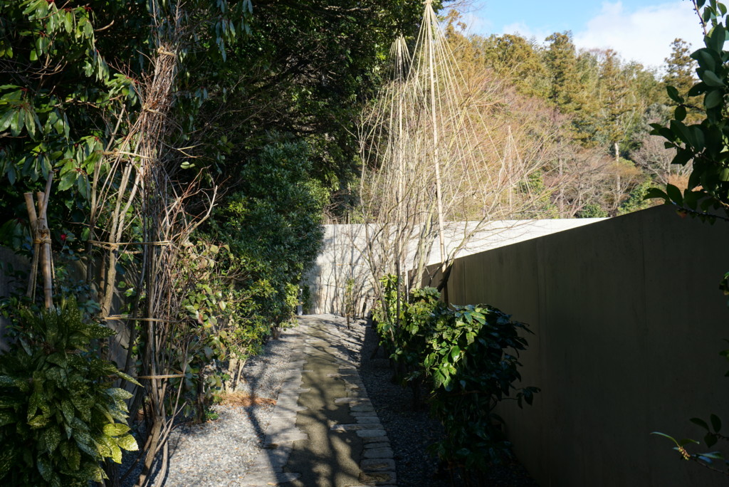鈴木大拙館から石川県立美術館への道