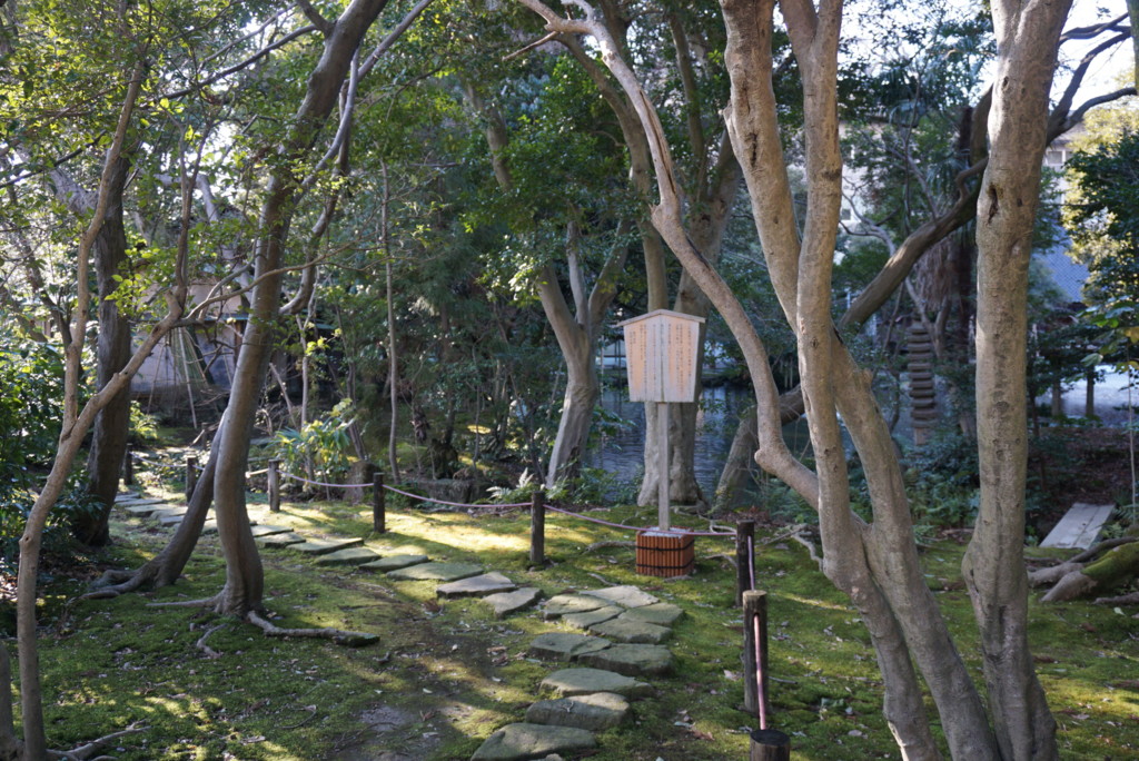 鈴木大拙館から石川県立美術館への道