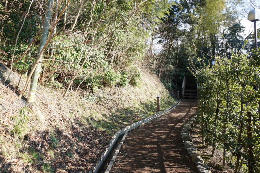 鈴木大拙館から石川県立美術館への道