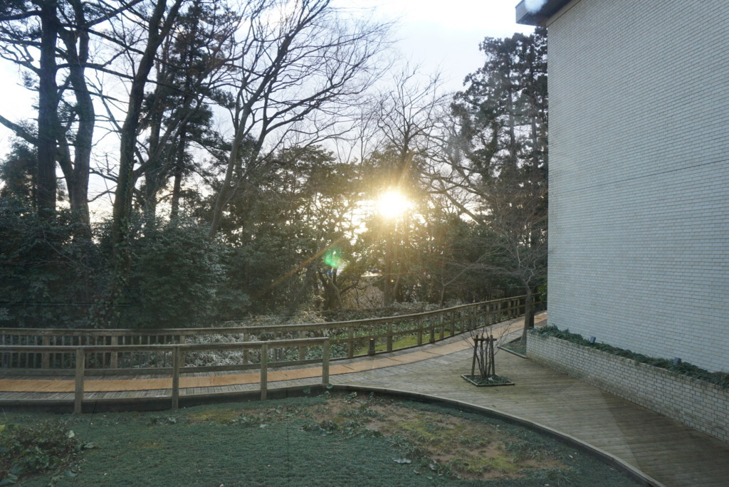 県立美術館のカフェ