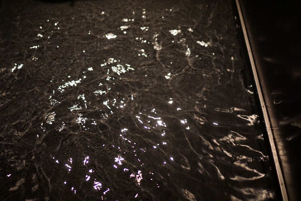 f:id:kiyo560808:20160802194252j:plain f:id:kiyo560808:20160802194252j:plain