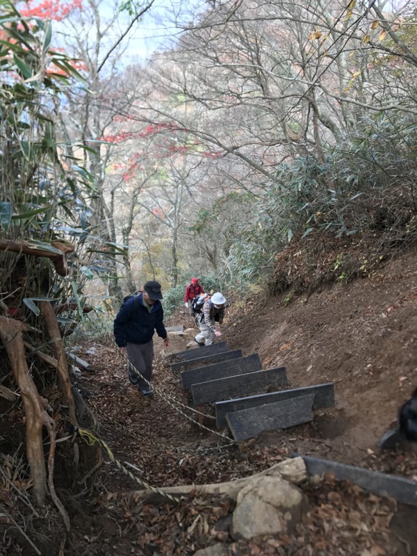 長尾山山頂から金時山山頂への道