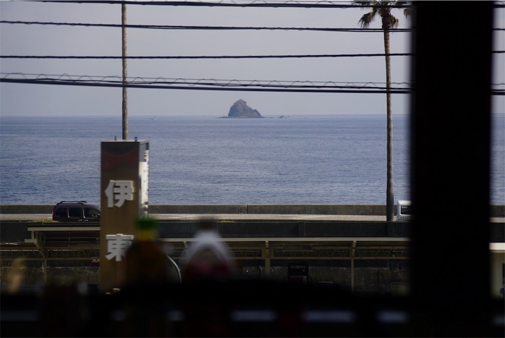 伊豆急行線から見た海