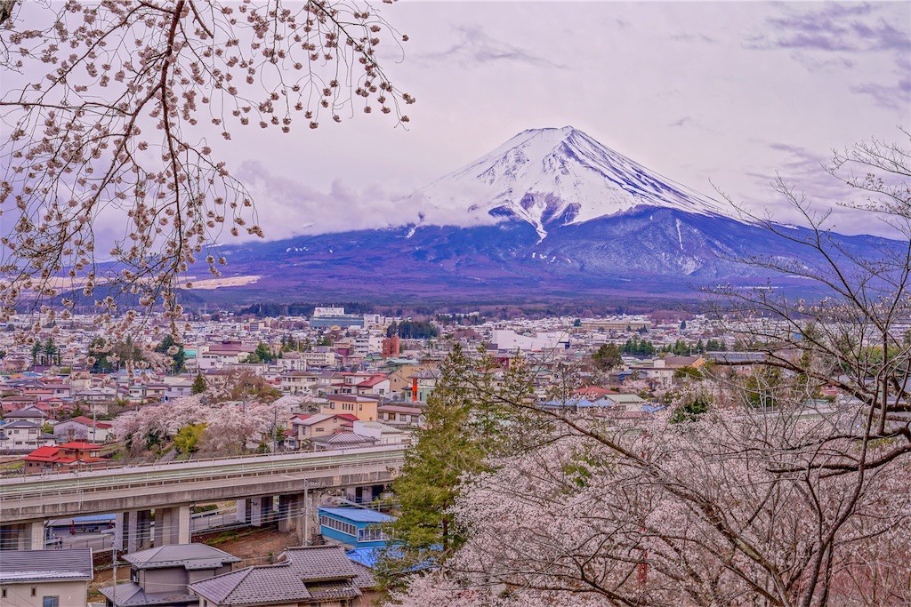 f:id:kiyo560808:20190414230456j:image