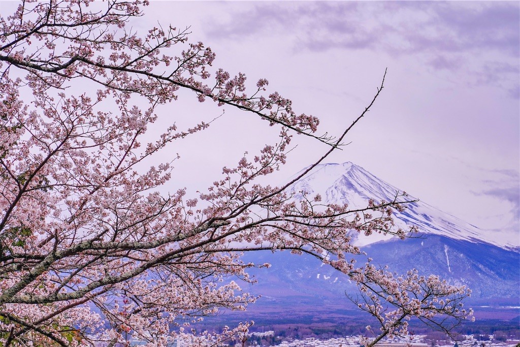 f:id:kiyo560808:20190414230513j:image