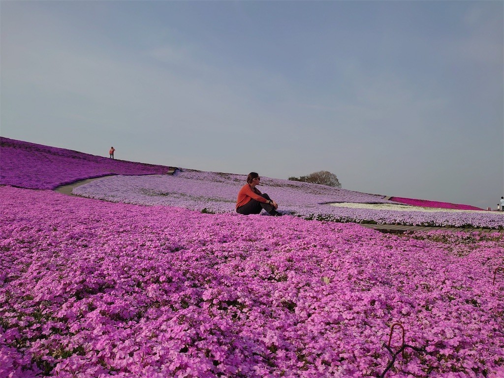 f:id:kiyo560808:20190518104824j:image
