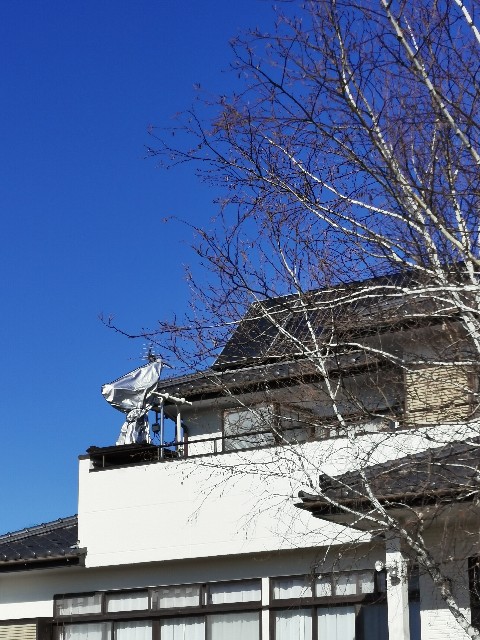 f:id:kiyochanpe:20250221213111j:image
