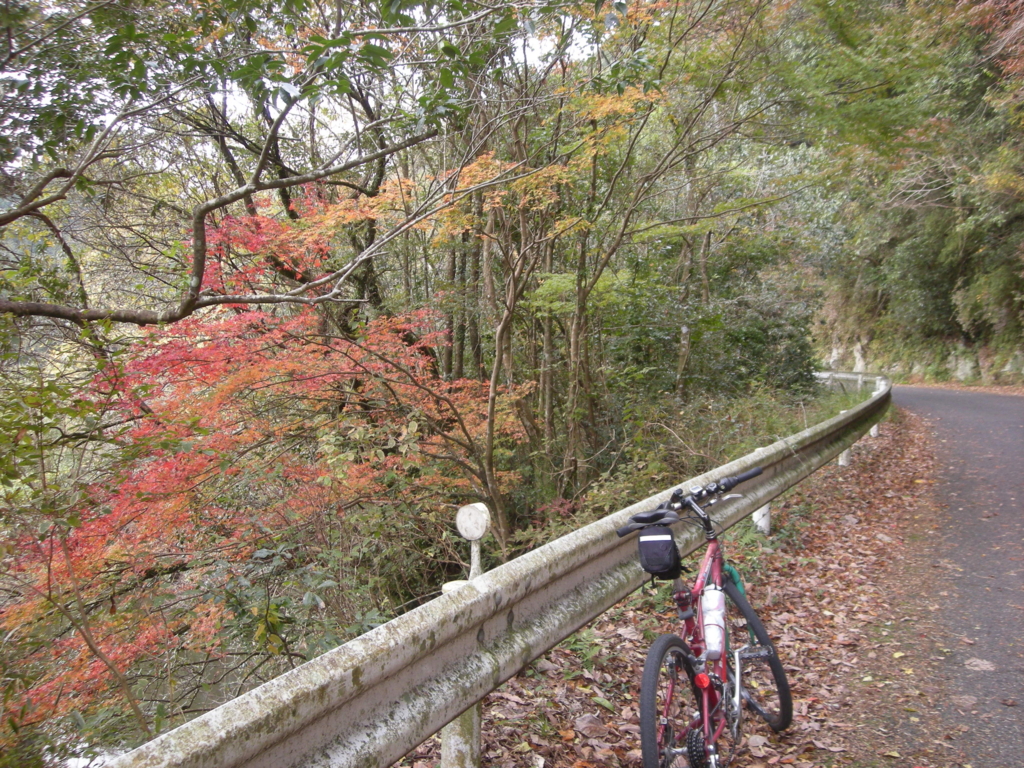 f:id:kiyofumi:20161123184429j:plain f:id:kiyofumi:20161123184429j:plain