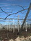 [空][山梨][景色][勝沼][wine]