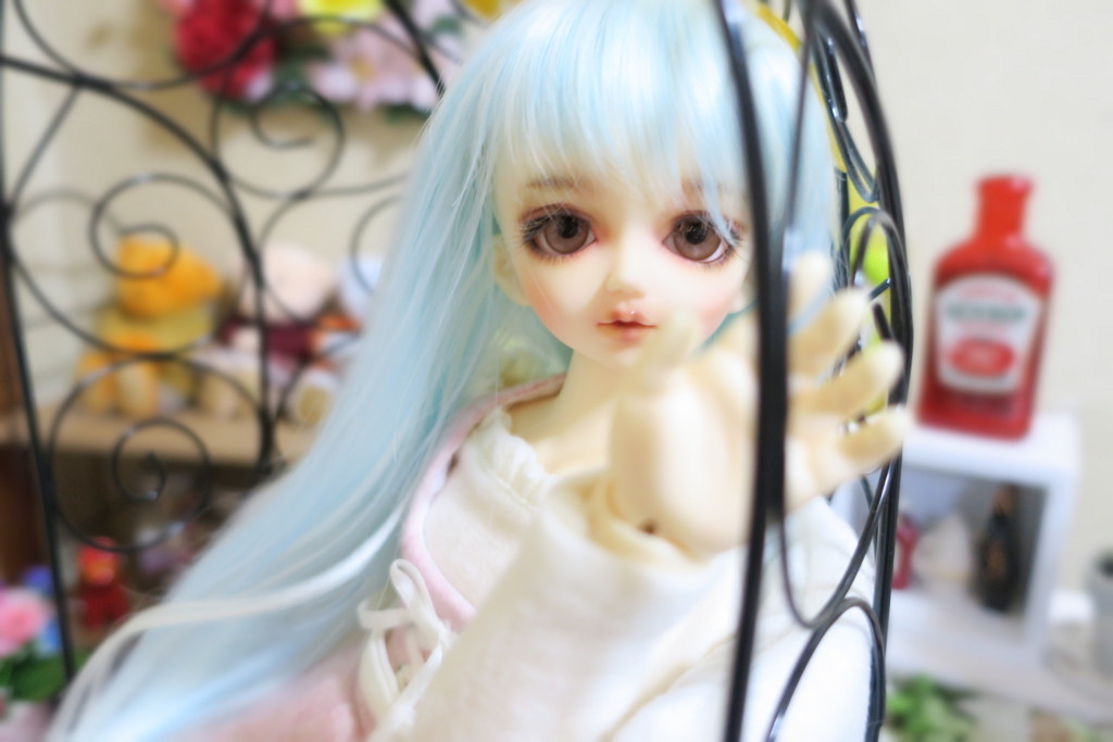 f:id:kiyokarin:20180330213319j:plain