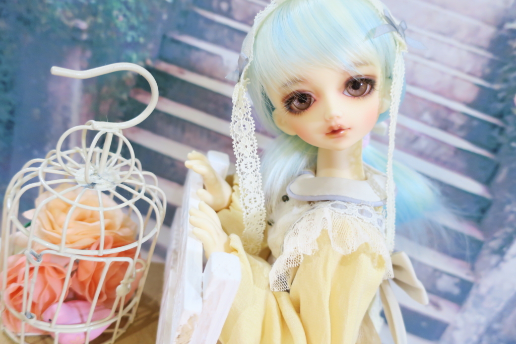 f:id:kiyokarin:20180706160706j:plain f:id:kiyokarin:20180706160706j:plain