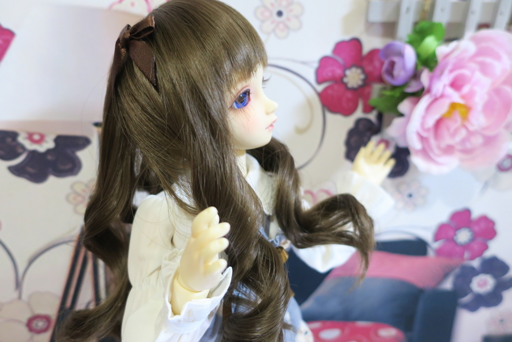 f:id:kiyokarin:20190125131825j:plain