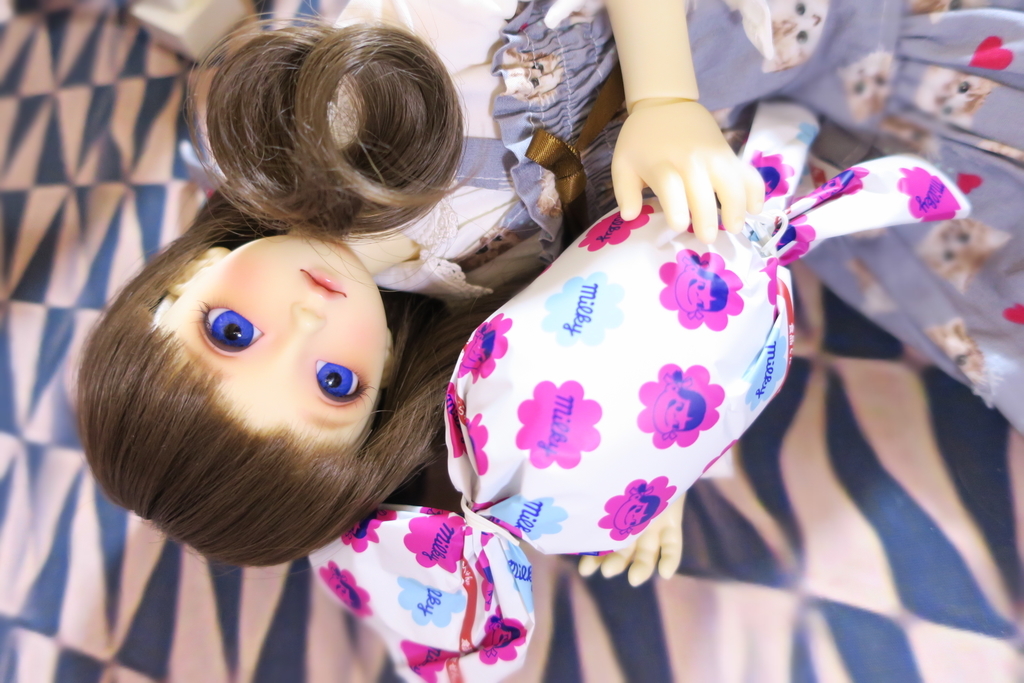 f:id:kiyokarin:20190125132152j:plain