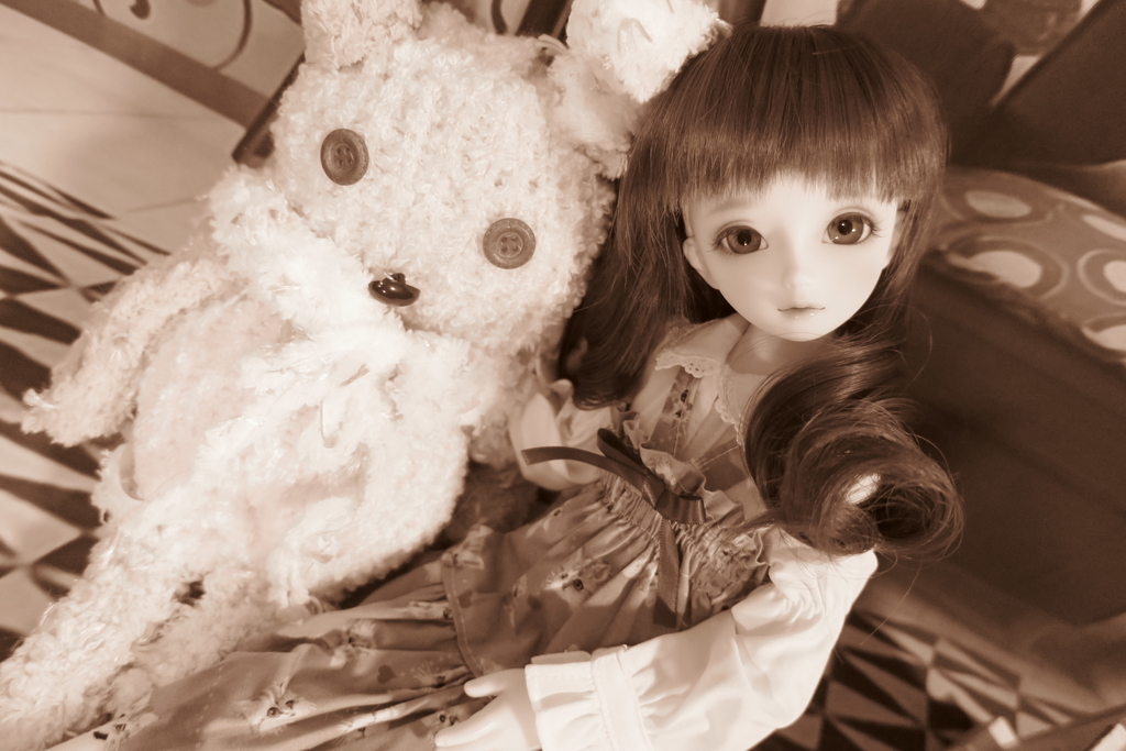 f:id:kiyokarin:20190125132239j:plain