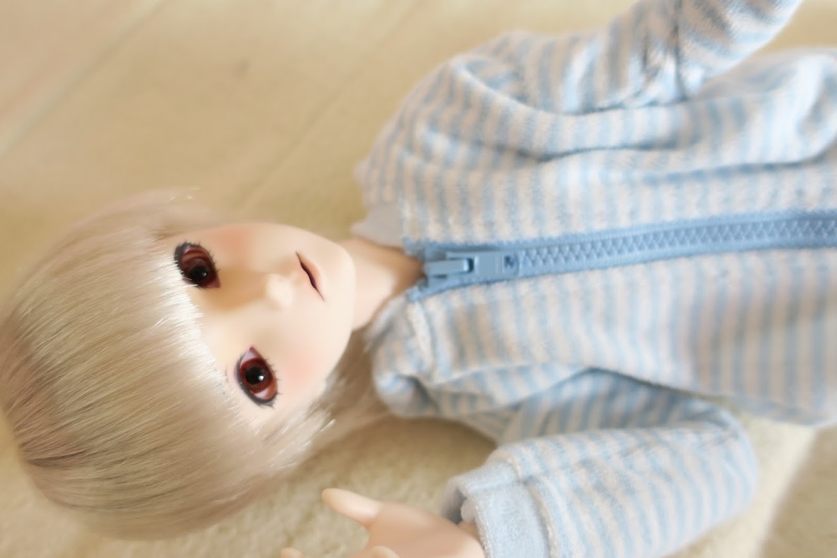 f:id:kiyokarin:20200523141222j:plain f:id:kiyokarin:20200523141222j:plain