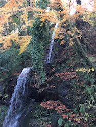 f:id:kiyokiyoppa:20171217225947j:plain f:id:kiyokiyoppa:20171217225947j:plain