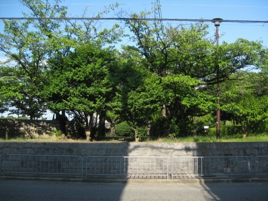 f:id:kiyomon229:20090730225230j:image:w400