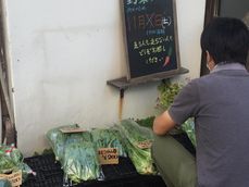 f:id:kiyonaka:20201115095226j:plain