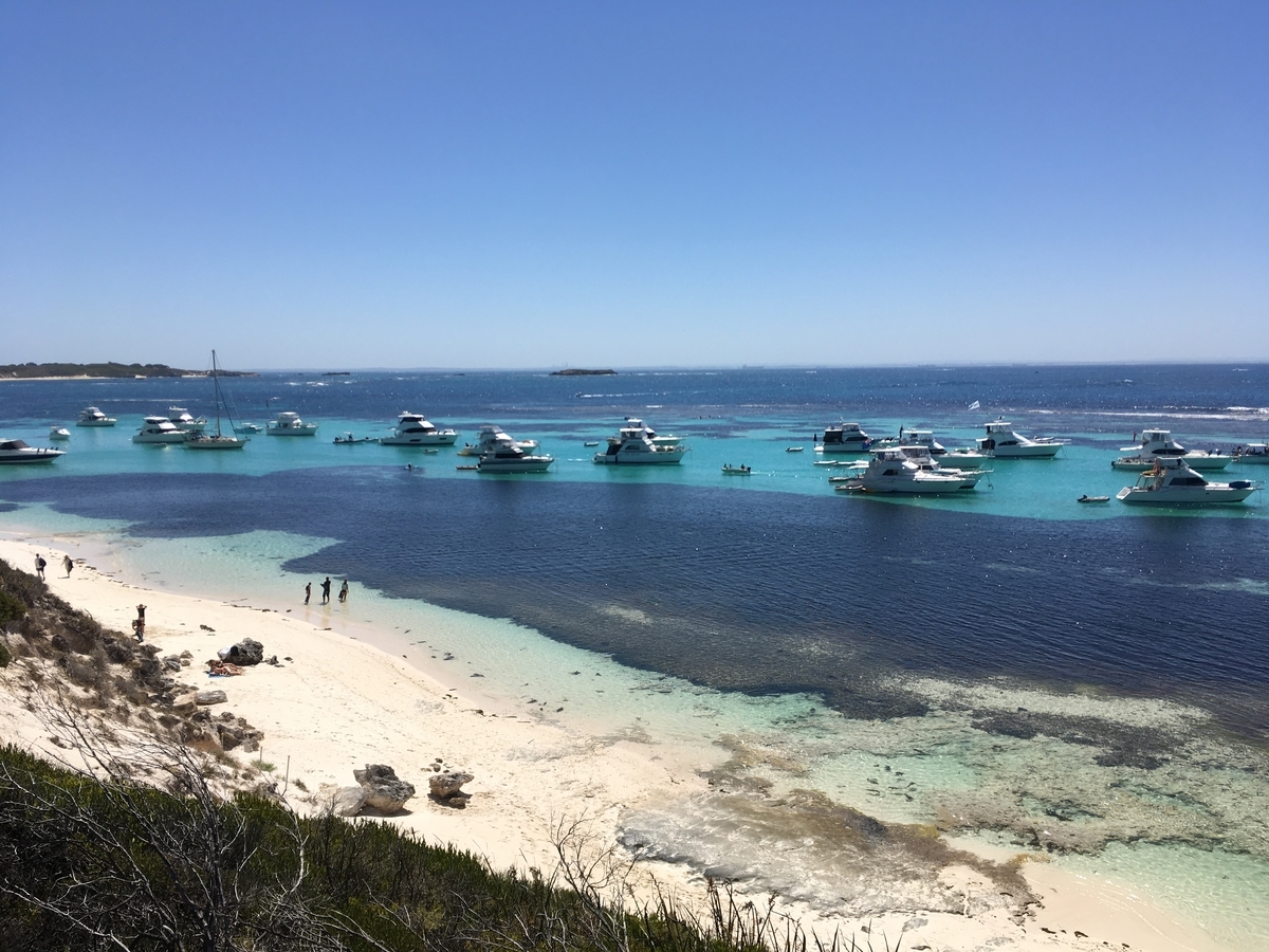 f:id:kiyoping:20220129001445j:plain