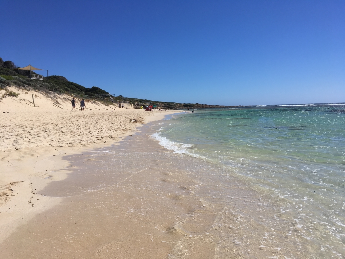 f:id:kiyoping:20220129001748j:plain