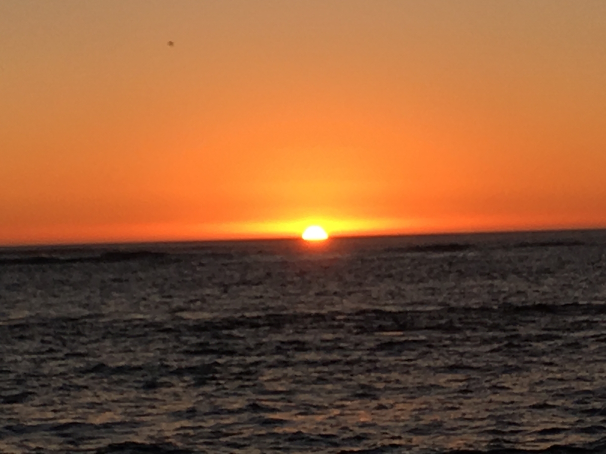 f:id:kiyoping:20220129001803j:plain