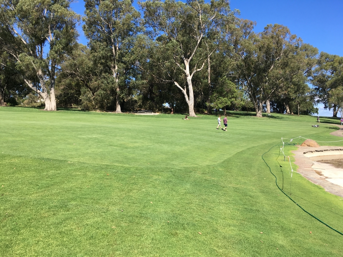 f:id:kiyoping:20220129143148j:plain