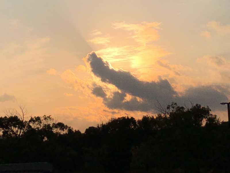 ツインパーク夕日