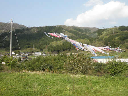 P5010022
