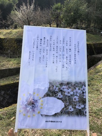 f:id:kiyoshi-n:20200223132841j:plain f:id:kiyoshi-n:20200223132841j:plain