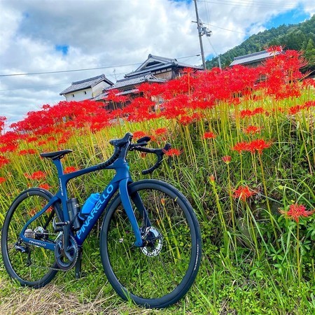 f:id:kiyoshi-n:20210921062645j:plain