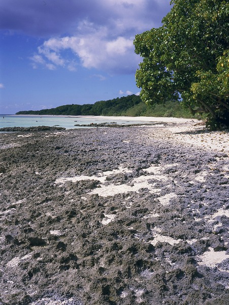 f:id:kiyoshi39:20210214120351j:plain