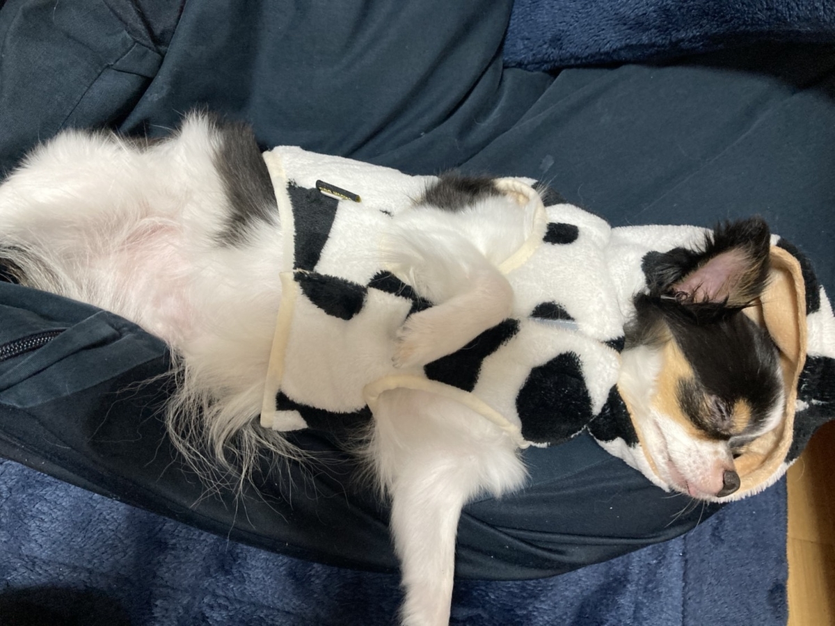 f:id:kiyoshi39:20210221120820j:plain