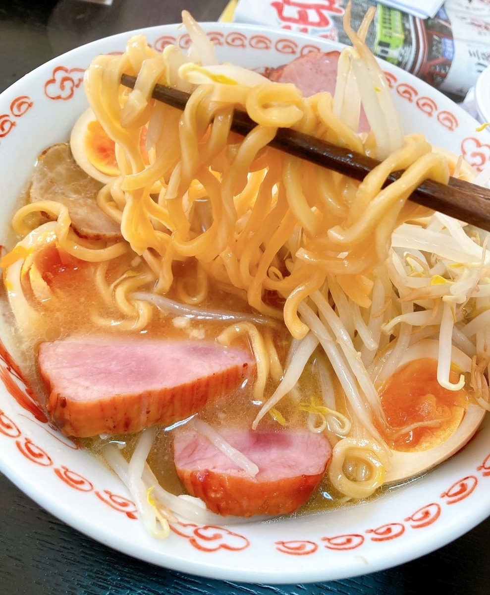 f:id:kiyoshi_net:20210109124049j:plain