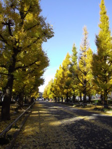 f:id:kiyoshi_yamada:20111205100921j:image:left