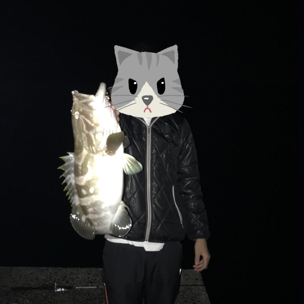 f:id:kiyoshiyamata:20181017232140j:plain
