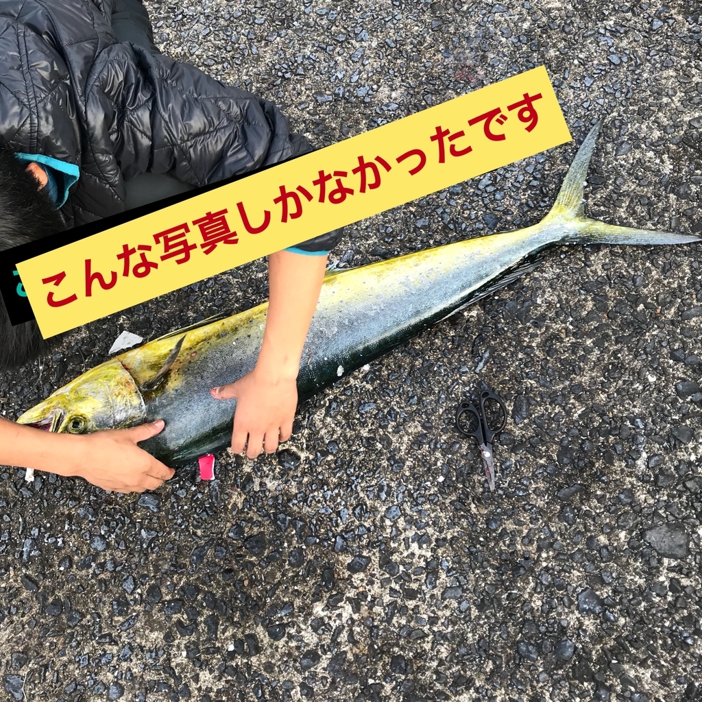 f:id:kiyoshiyamata:20181017232209j:plain