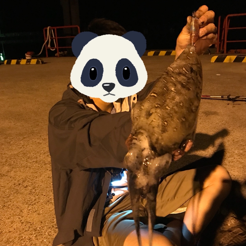 f:id:kiyoshiyamata:20181020211712j:plain