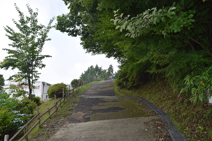 f:id:kiyosirou2013:20170730064211j:plain f:id:kiyosirou2013:20170730064211j:plain