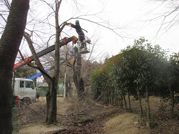 イメージ 3