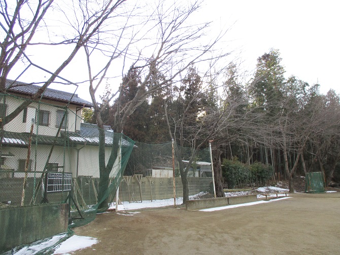 イメージ 7