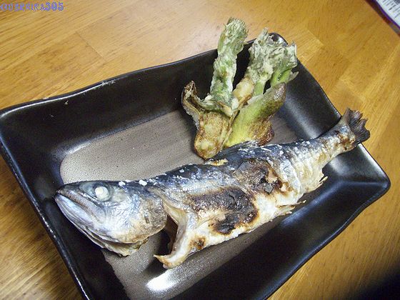 イメージ 5